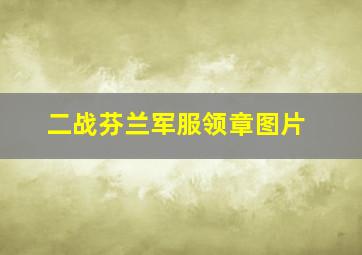 二战芬兰军服领章图片