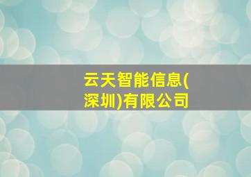 云天智能信息(深圳)有限公司