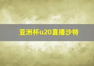 亚洲杯u20直播沙特