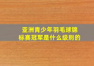 亚洲青少年羽毛球锦标赛冠军是什么级别的