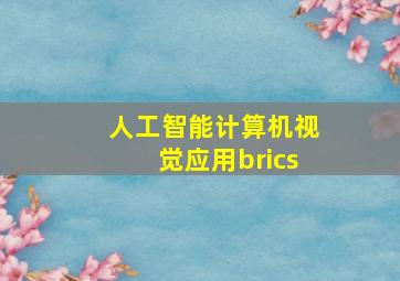 人工智能计算机视觉应用brics