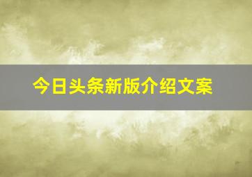 今日头条新版介绍文案