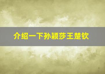 介绍一下孙颖莎王楚钦