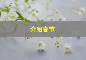 介绍春节