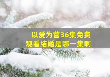 以爱为营36集免费观看结婚是哪一集啊