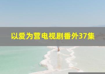 以爱为营电视剧番外37集