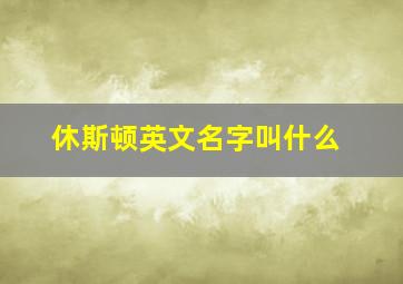 休斯顿英文名字叫什么