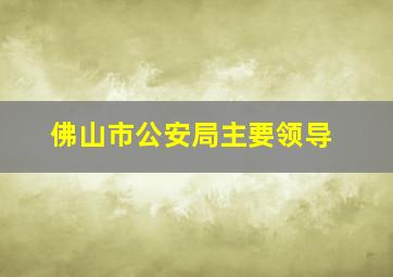 佛山市公安局主要领导