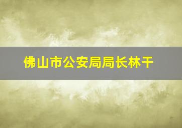 佛山市公安局局长林干