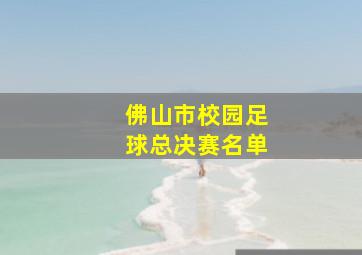 佛山市校园足球总决赛名单