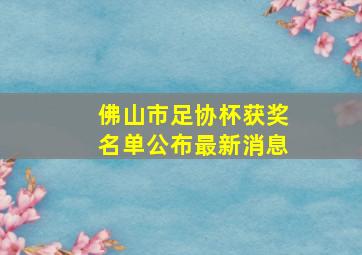 佛山市足协杯获奖名单公布最新消息