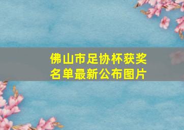 佛山市足协杯获奖名单最新公布图片