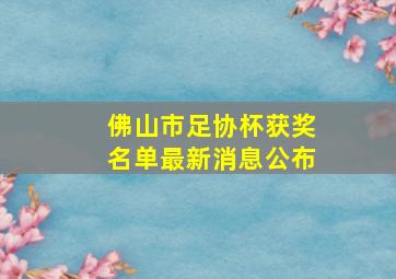 佛山市足协杯获奖名单最新消息公布