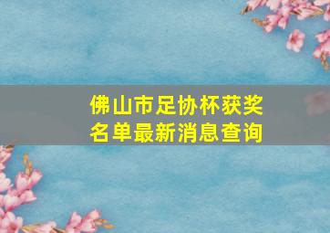 佛山市足协杯获奖名单最新消息查询