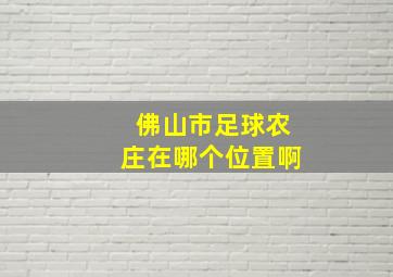 佛山市足球农庄在哪个位置啊