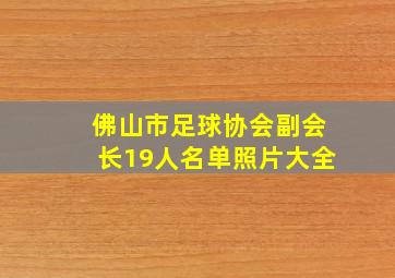 佛山市足球协会副会长19人名单照片大全