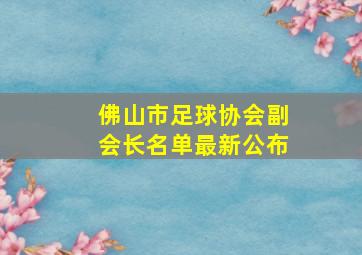 佛山市足球协会副会长名单最新公布