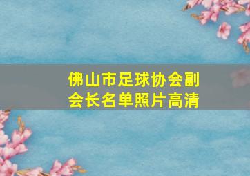 佛山市足球协会副会长名单照片高清