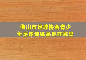 佛山市足球协会青少年足球训练基地在哪里