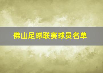 佛山足球联赛球员名单