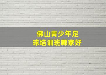 佛山青少年足球培训班哪家好