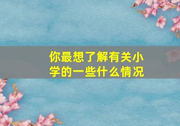 你最想了解有关小学的一些什么情况