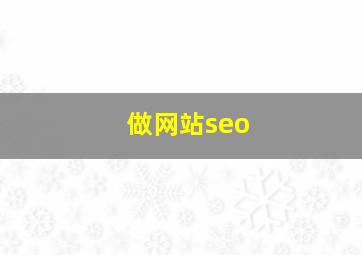 做网站seo