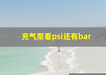 充气泵看psi还有bar