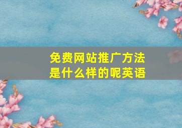 免费网站推广方法是什么样的呢英语