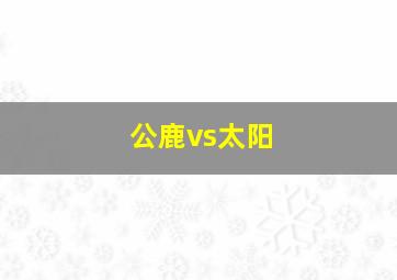 公鹿vs太阳