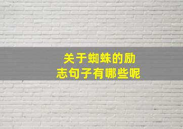 关于蜘蛛的励志句子有哪些呢