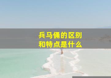 兵马俑的区别和特点是什么