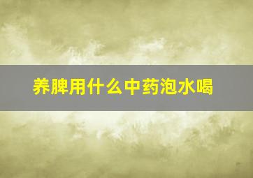 养脾用什么中药泡水喝