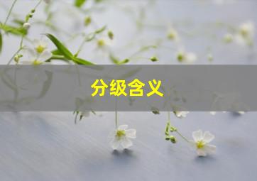 分级含义