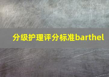 分级护理评分标准barthel