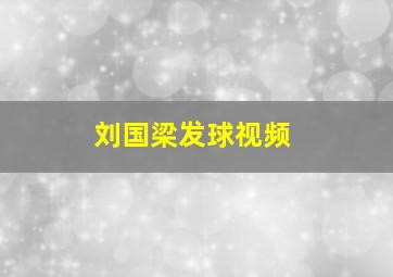 刘国梁发球视频