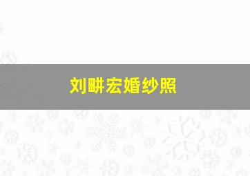 刘畊宏婚纱照