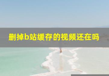 删掉b站缓存的视频还在吗