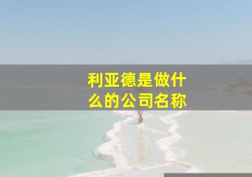 利亚德是做什么的公司名称