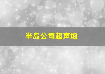 半岛公司超声炮