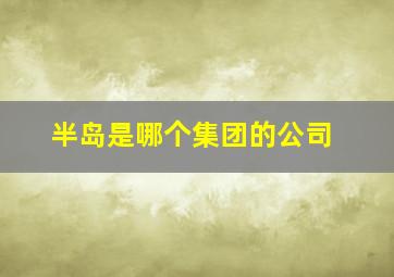 半岛是哪个集团的公司