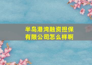 半岛港湾融资担保有限公司怎么样啊