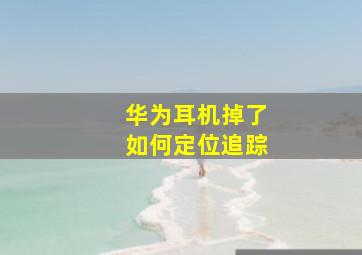 华为耳机掉了如何定位追踪