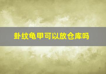 卦纹龟甲可以放仓库吗