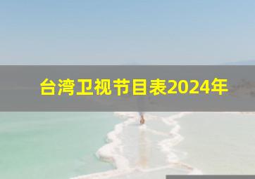 台湾卫视节目表2024年