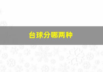 台球分哪两种