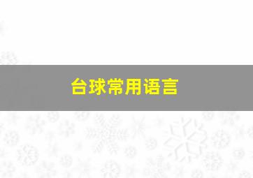 台球常用语言