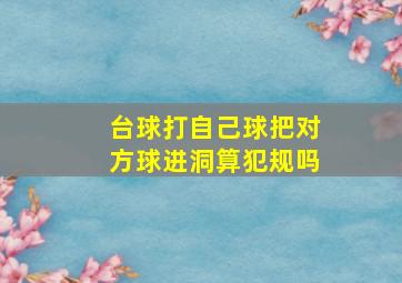 台球打自己球把对方球进洞算犯规吗