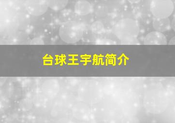 台球王宇航简介