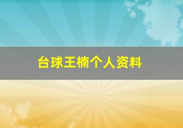 台球王楠个人资料